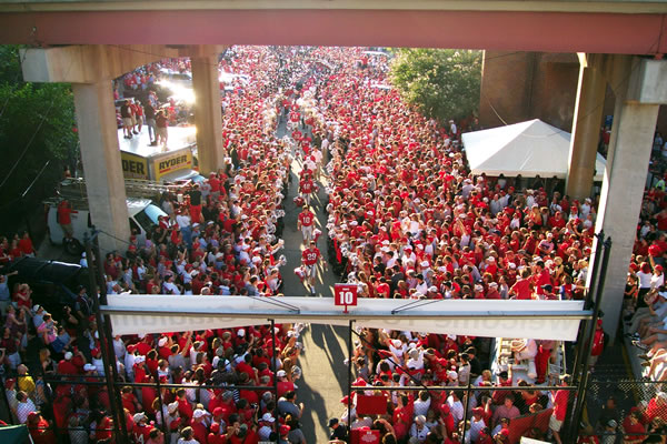 The Dawg Walk