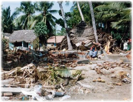 Tsunami damage