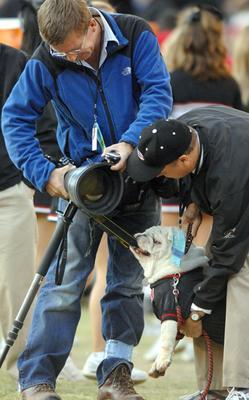 Uga VI goes after cameraman vs. Auburn