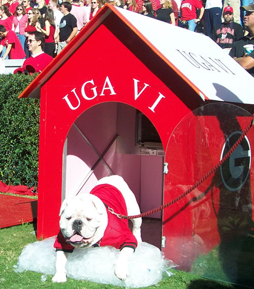 Uga VI 2001 vs. Houston