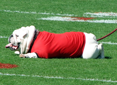 Uga VI resting pregame