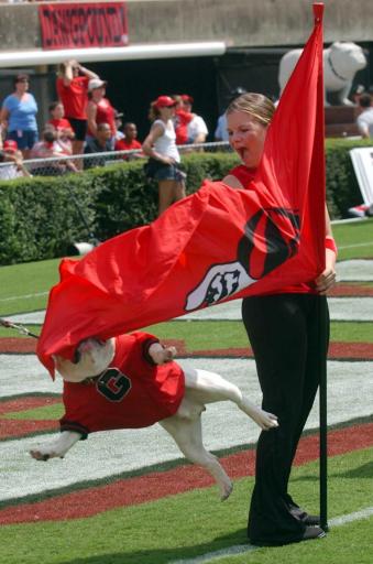 Uga VI goes after the flag